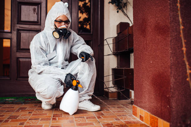 Attic and Crawl Space Rodent Treatment in Bridgeport